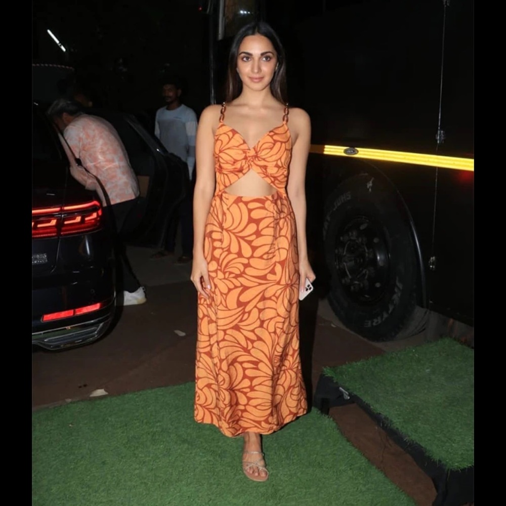 ZARA Chain Strap Print Dress